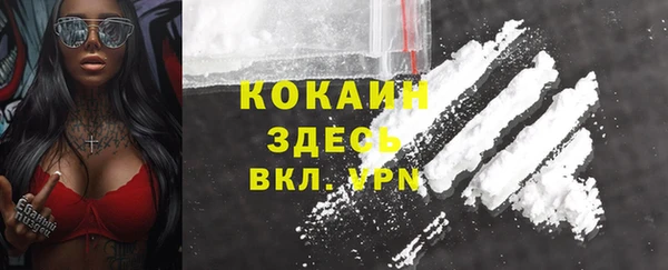 индика Богданович