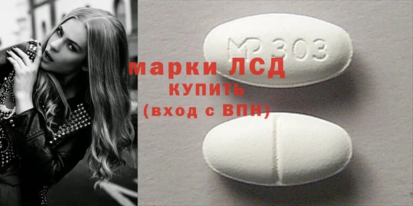 индика Богданович