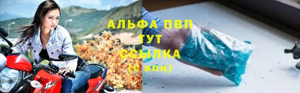 индика Богданович
