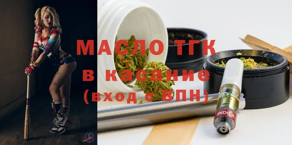 индика Богданович