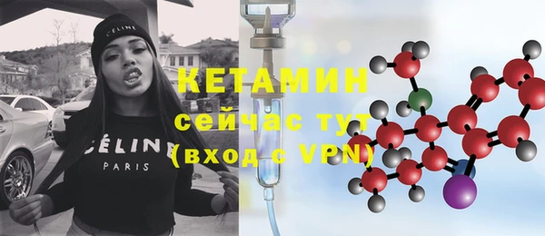 индика Богданович