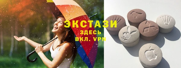 индика Богданович