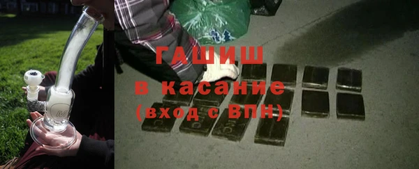 индика Богданович