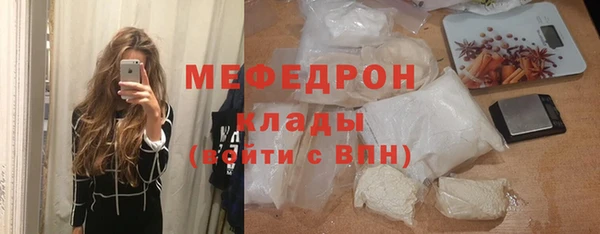 индика Богданович