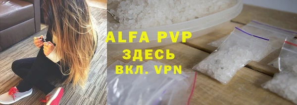 индика Богданович