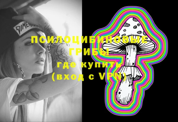 тгк Богородск