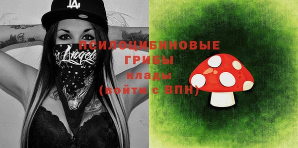 индика Богданович