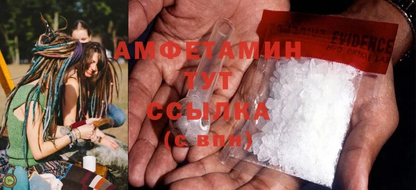 индика Богданович