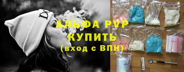 индика Богданович
