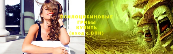 индика Богданович